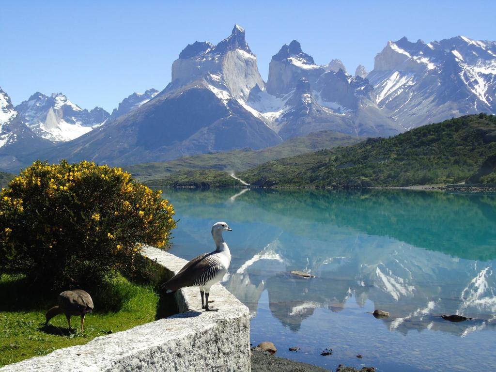 Hosteria Pehoe Torres del Paine National Park Eksteriør bilde